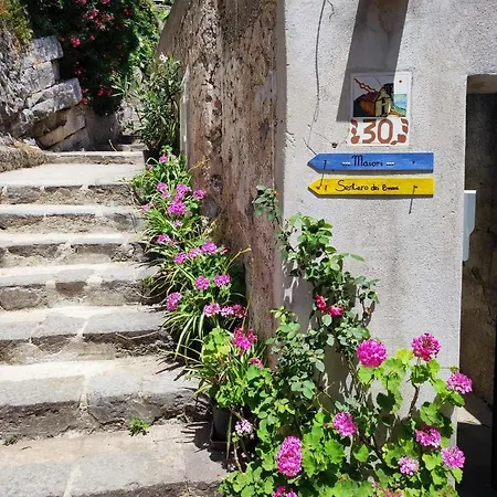 Eden Tra I Limoni Minori