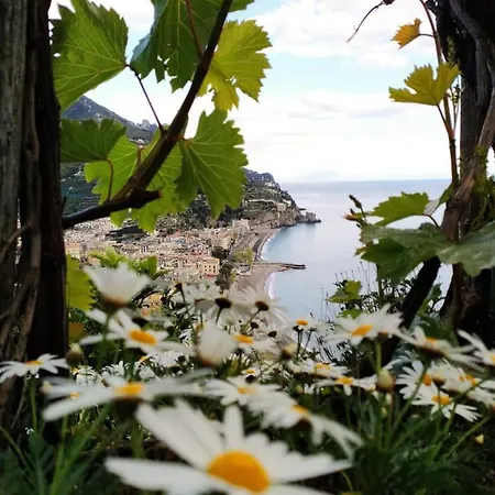 Appartamento Eden Tra I Limoni *
